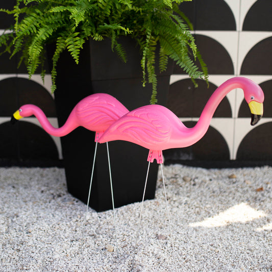 Pink Flamingos - 2 Pack