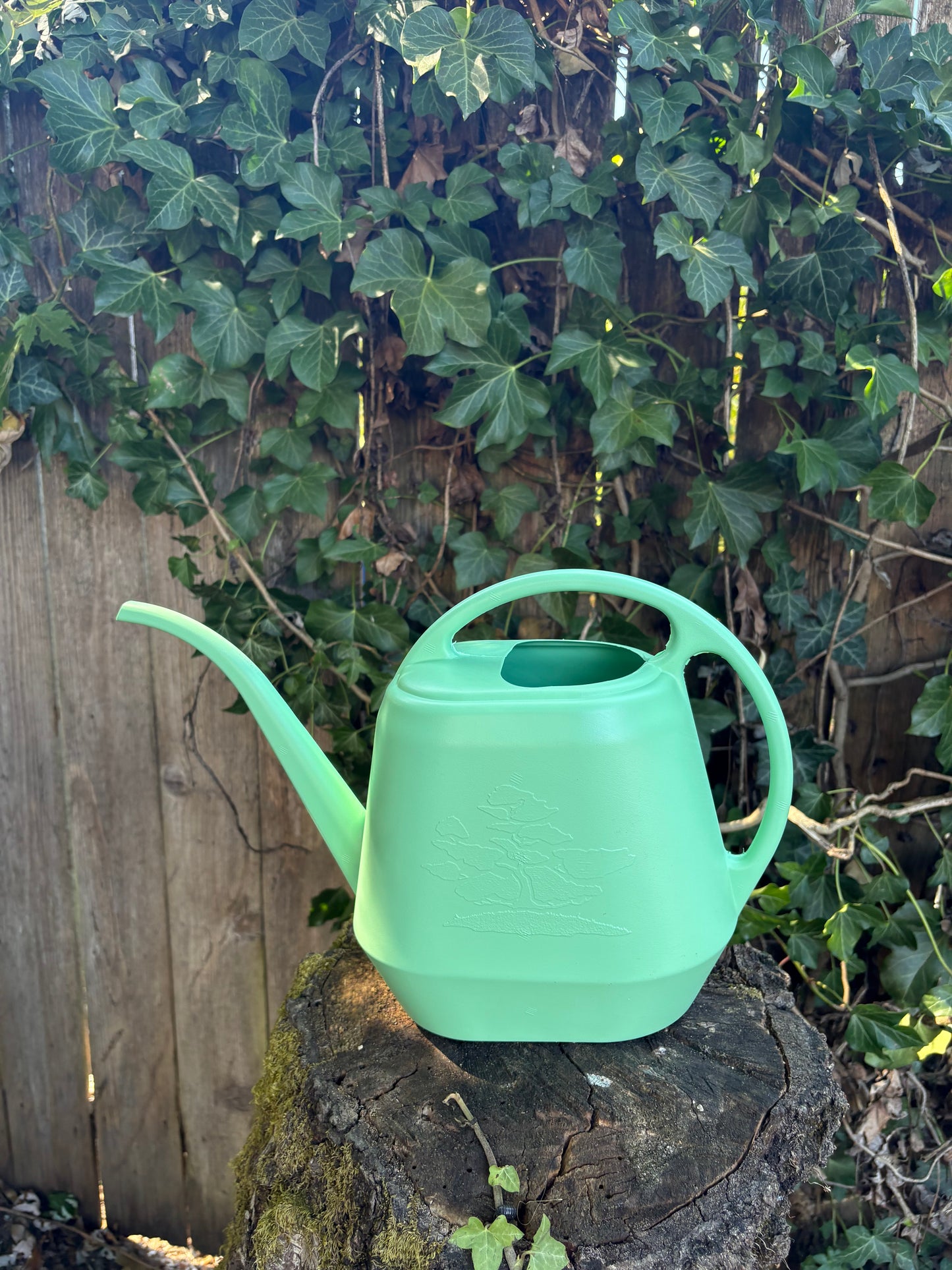 Aquarite Watering Can - 56 oz & 144 oz