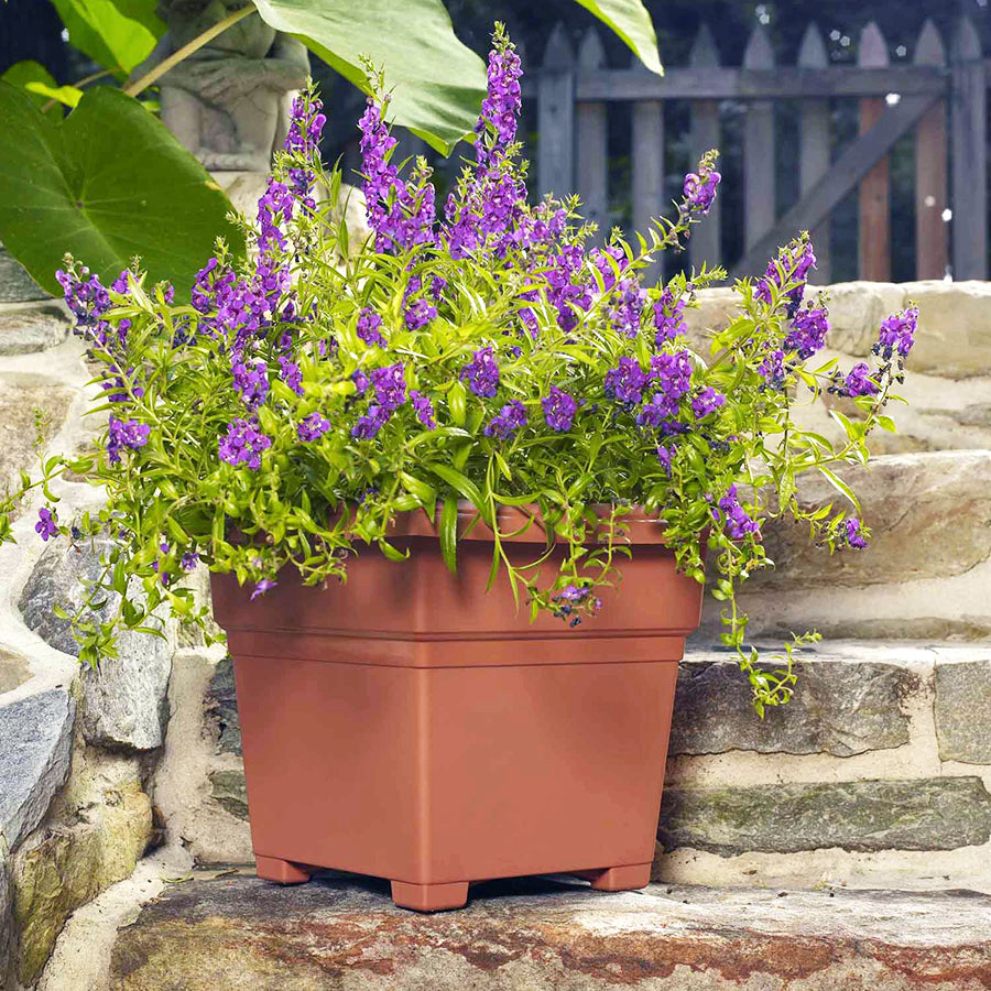 novelty pots for plants Novelty Countryside Square Tub Planter, White, 14-Inch