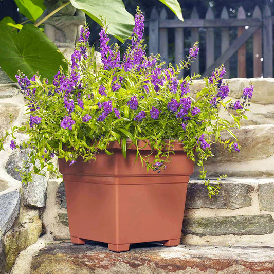 Countryside - Tub Planter - Square - 14" and 18"