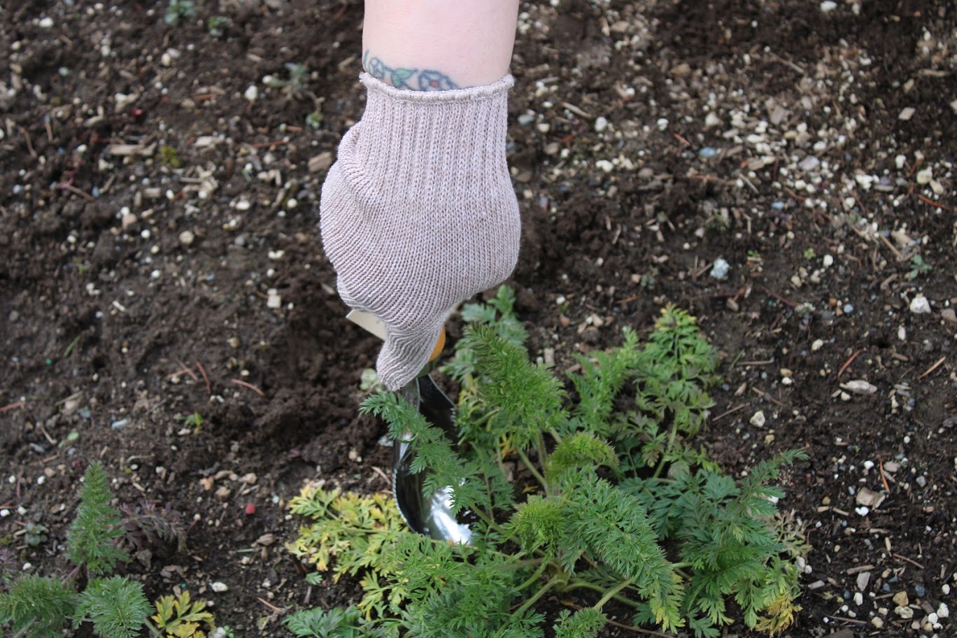 Beer Bottle String Knit Gloves