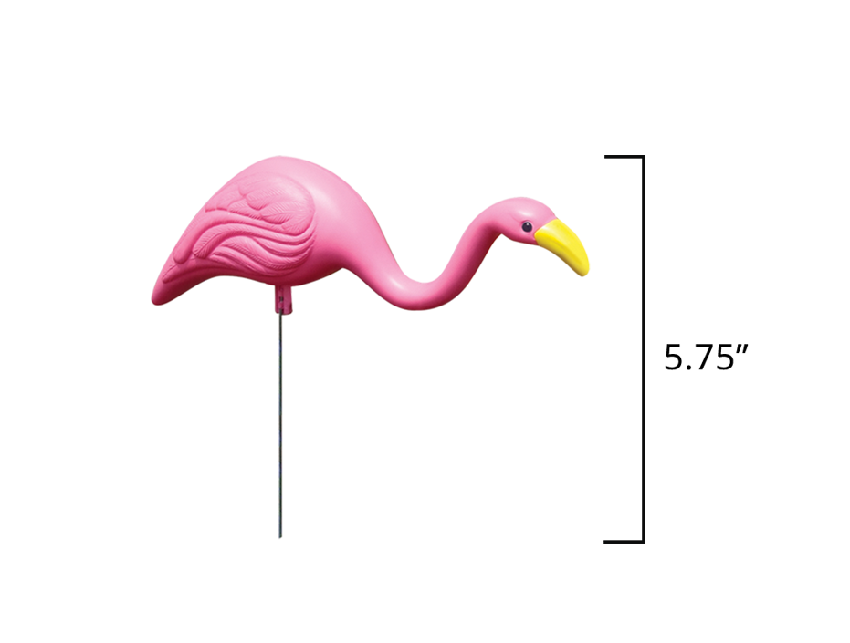 Mini Pink Flamingos displayed with measurement of the flamingo with it's head down - 5.75 inches high.