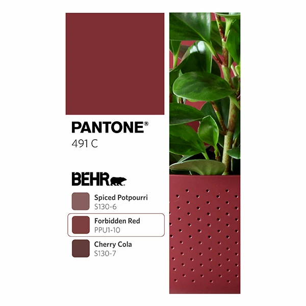 Eco Wall Planters - Indoor/Outdoor Vertical Garden