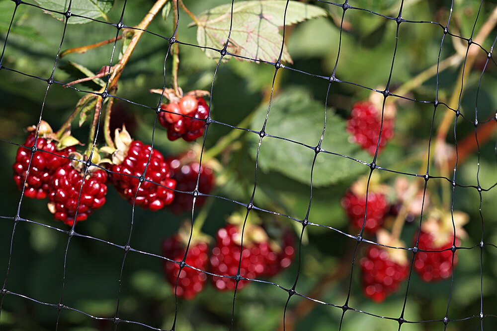 Bird-X Netting