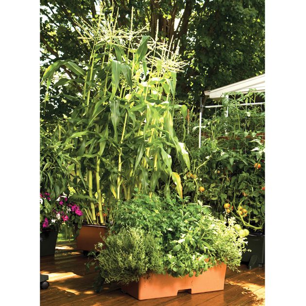 EarthBox Garden Kit