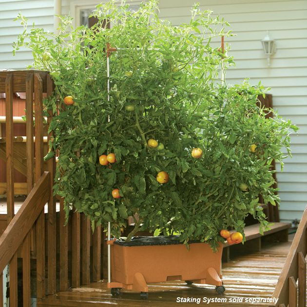 EarthBox Garden Kit