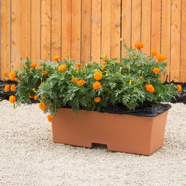 EarthBox Garden Kit