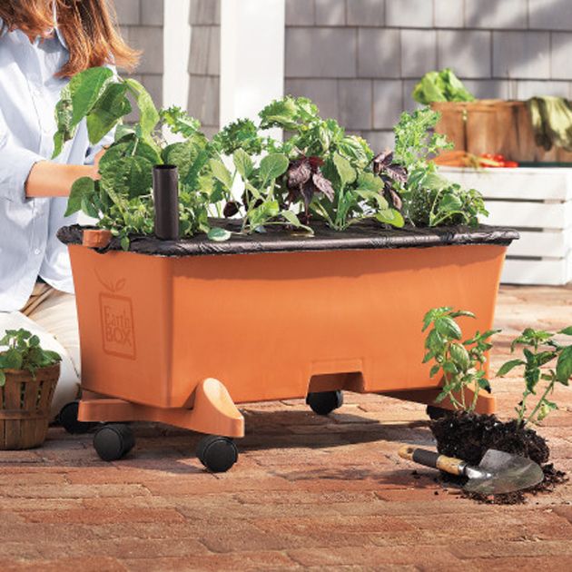 EarthBox Garden Kit