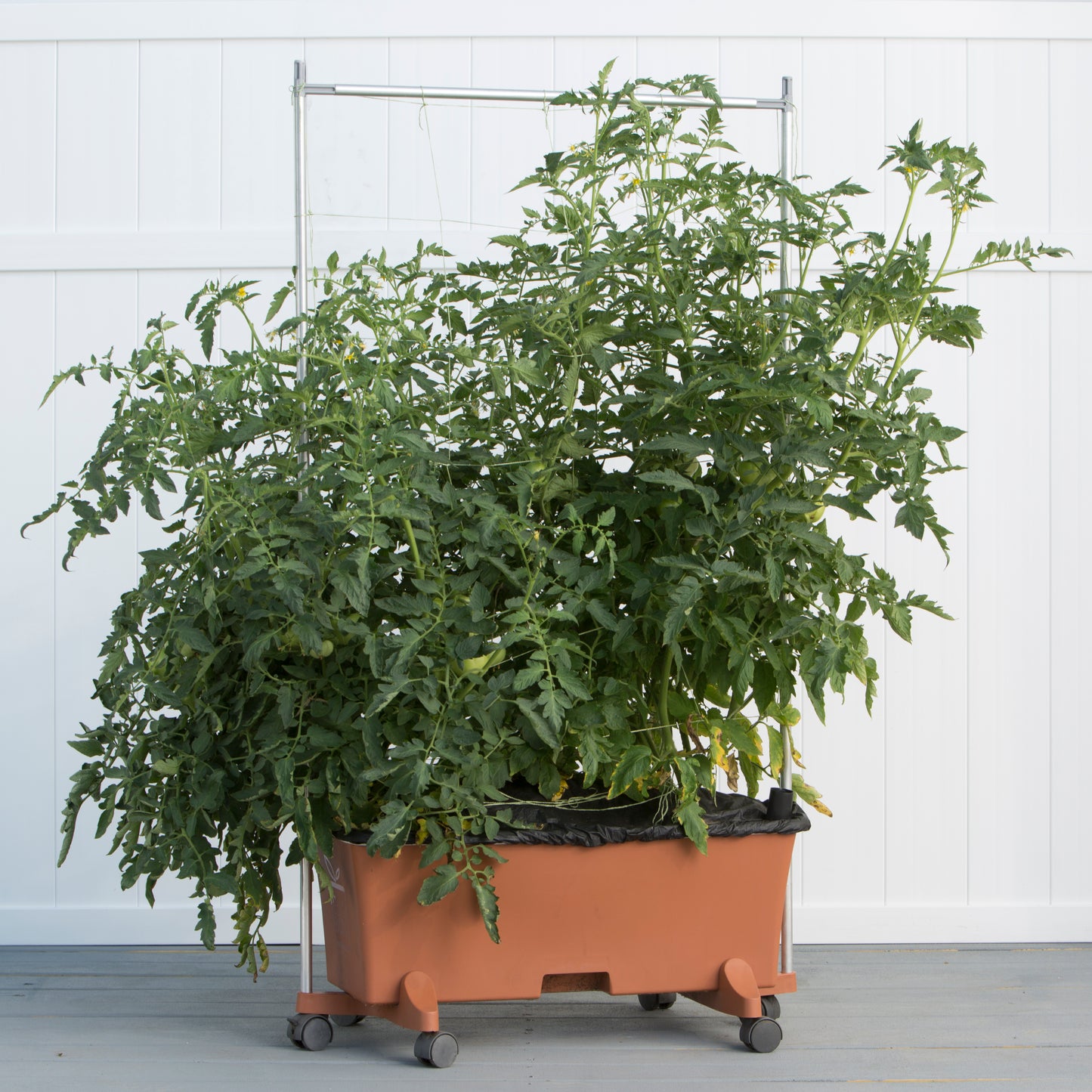 EarthBox Garden Kit