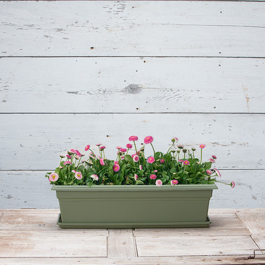 Countryside - Flower Box - 18". 24", 30" and 36"