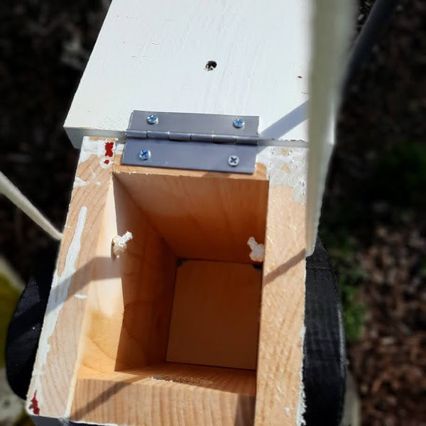 Birdfeeder, made by the Amish out of quality wood, painted with exterior paint. Shown with the hinged lid open. Made in the USA.