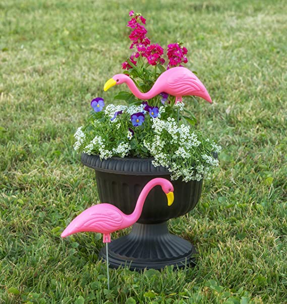 flamingo plant pot Bloem 2-Pack Pink Flamingos