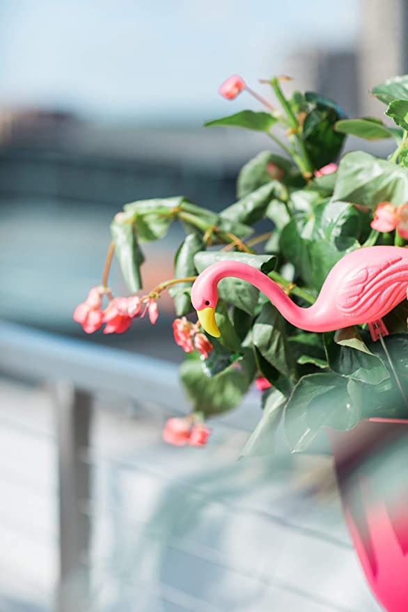 Mini Pink Flamingos in a planter on a railing.