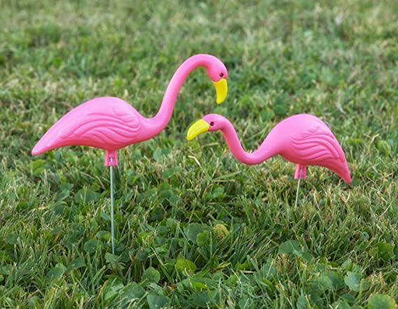 Mini Pink Flamingos hanging out in the yard together.