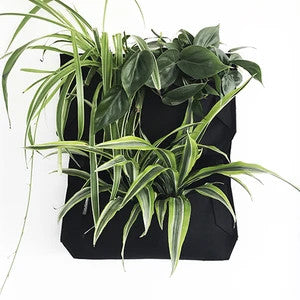 black indoor wall planter WallyGro - Indoor/Outdoor Vertical Garden - Pro Jr. I Pocket Wall Planter - Jr. Black