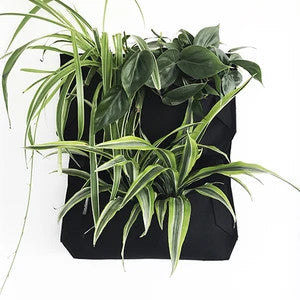 Indoor/Outdoor Vertical Garden - Pro Jr. I Pocket Wall Planter - Jr. Black - One Pocket