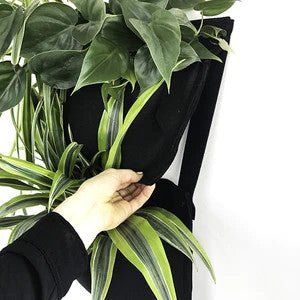 Indoor/Outdoor Vertical Garden - Pro Jr. I Pocket Wall Planter - Jr. Black - One Pocket