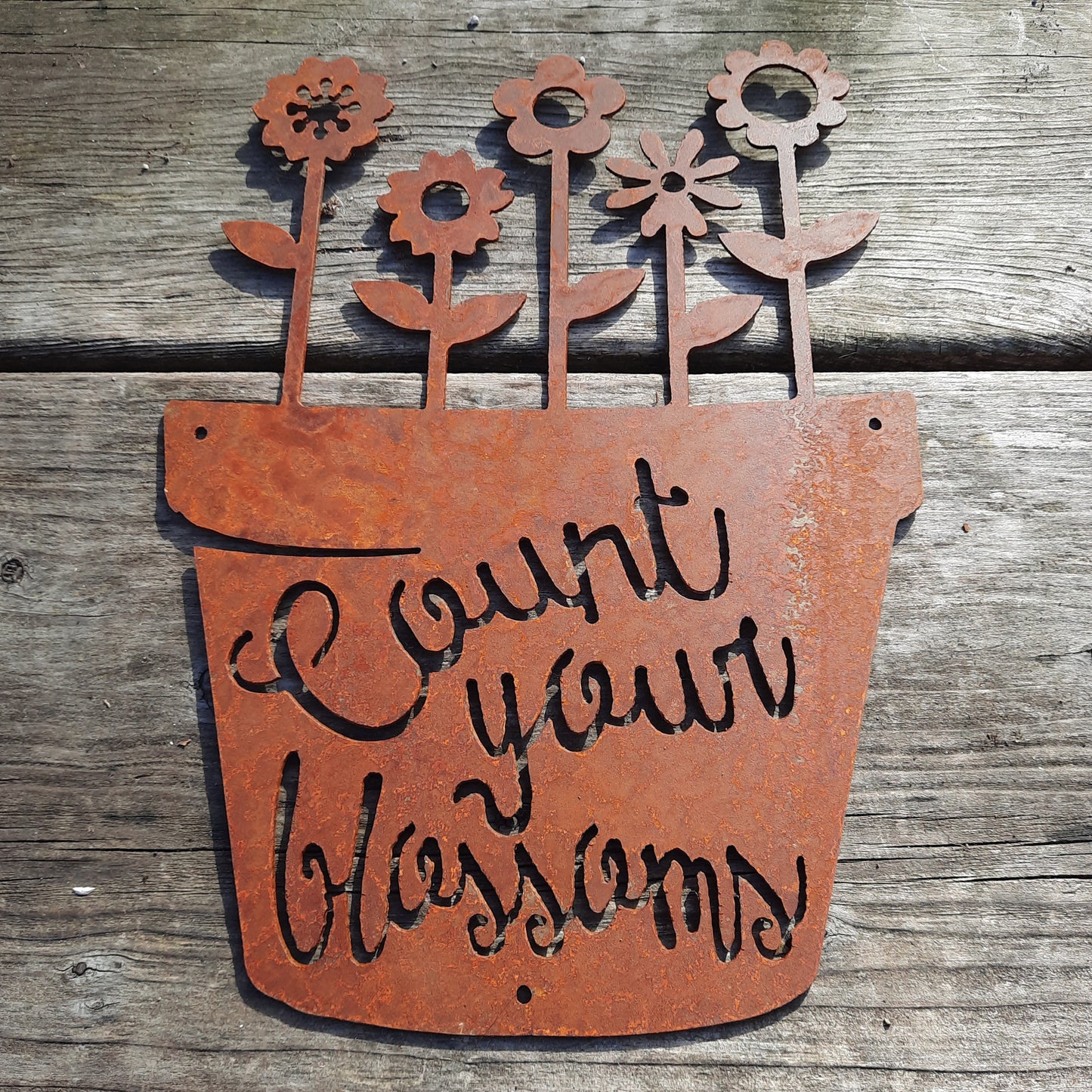 Rustic Metal Flower Pot Sign - Count Your Blossoms