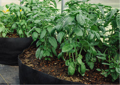 Big Bag Bed Black - Raised Garden Bed - Cloth