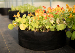 Big Bag Bed Black - Raised Garden Bed - Cloth