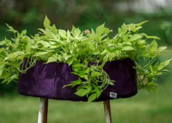 Big Bag Bed Black - Raised Garden Bed - Cloth