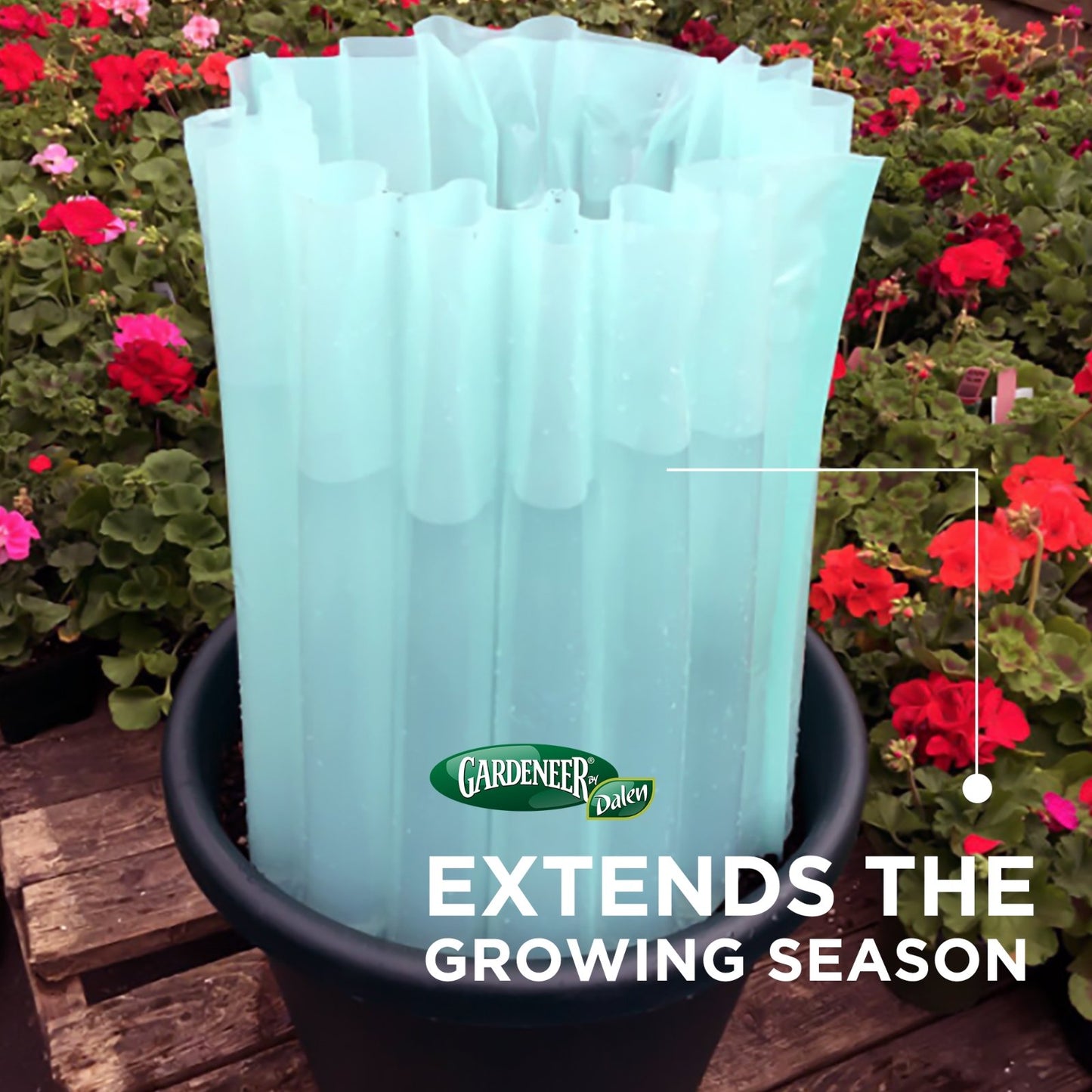 Season Starter - Frost Protection