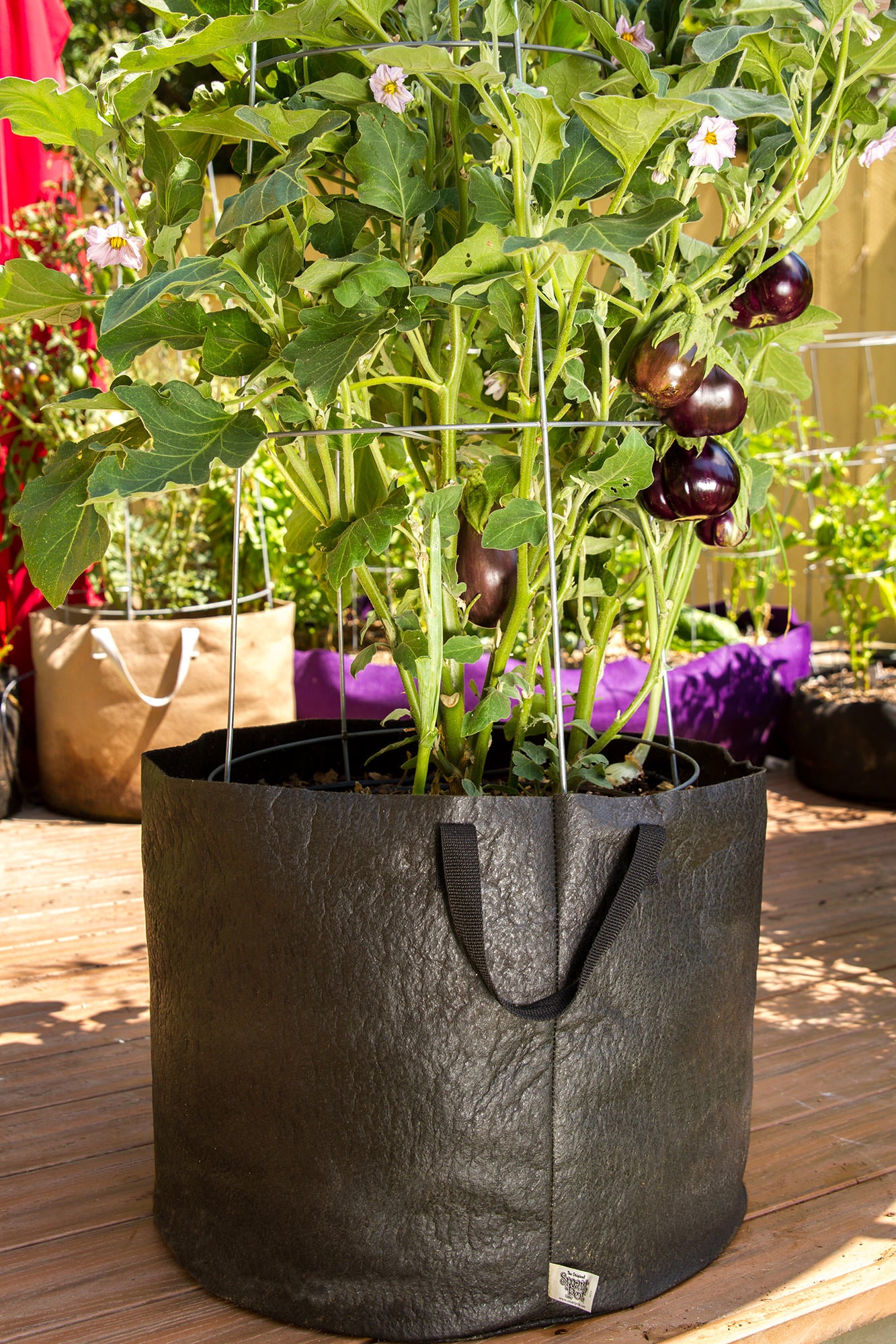 black woven planter Smart Pot 15 Gal. Black Fabric Potato & Squash Grow Bag, 21015