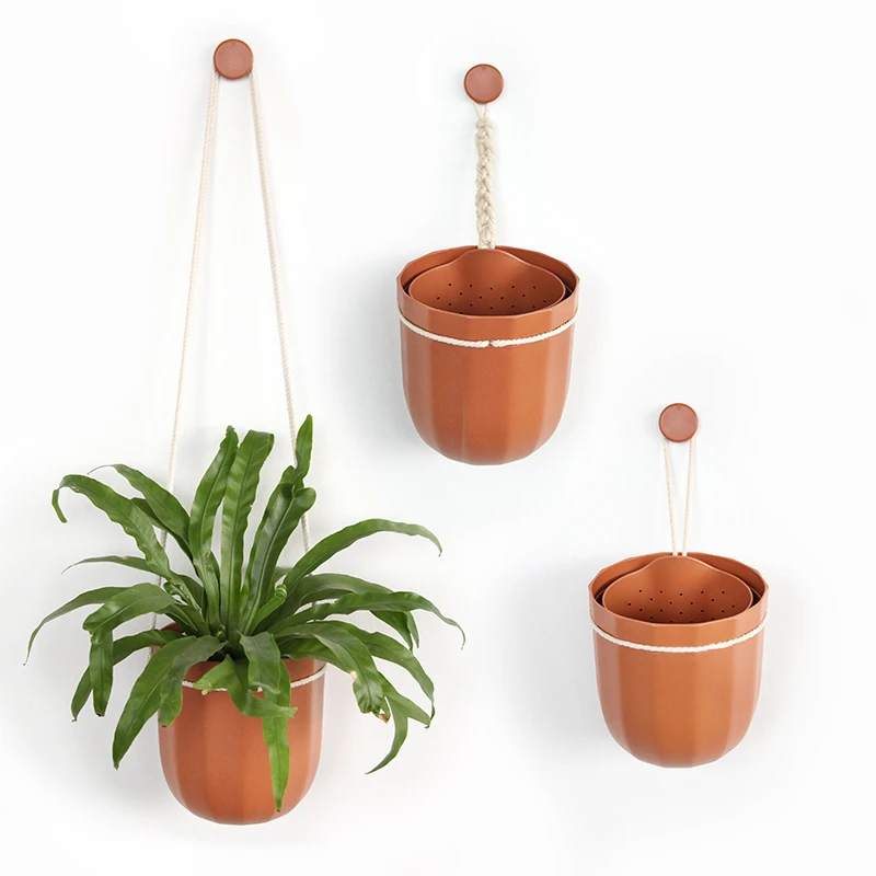 Loop Hanging or Wall Planter