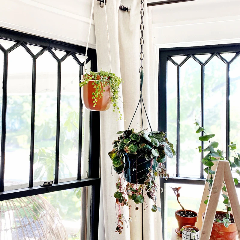 Loop Hanging or Wall Planter