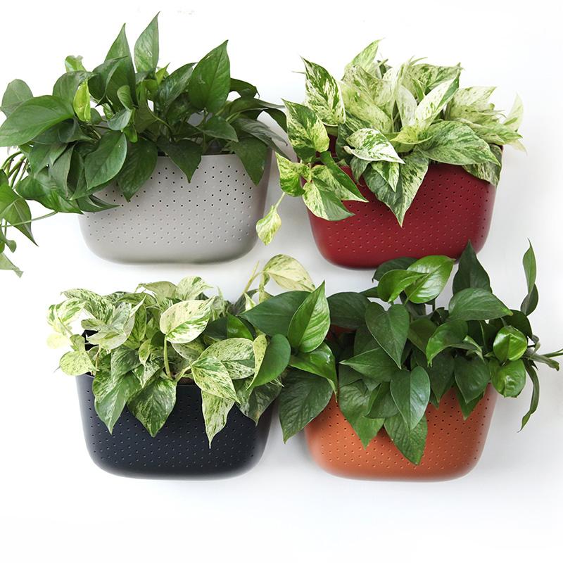 WallyGro wall planters. Vertical gardening for indoor or outdoor.