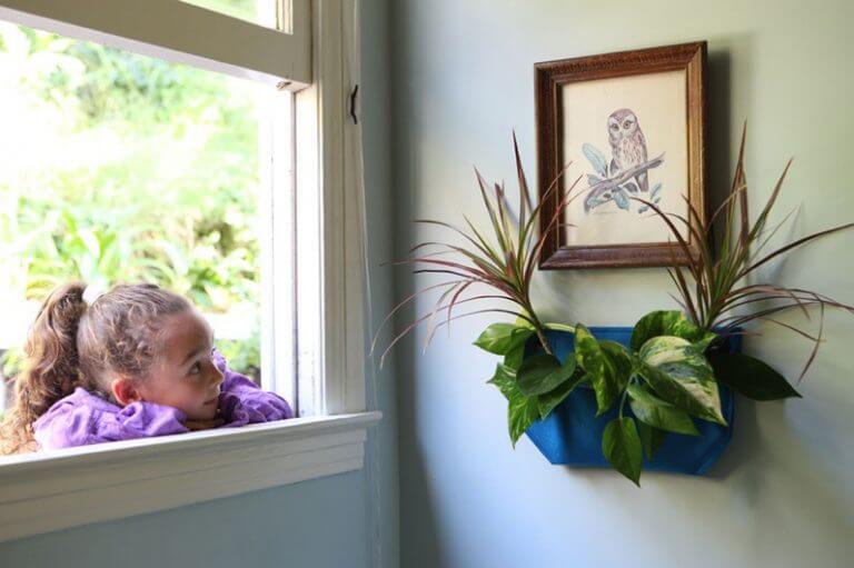 Indoor/Outdoor Vertical Garden - Wally Pro Mini Black Wall Planter Pocket - Single Pocket