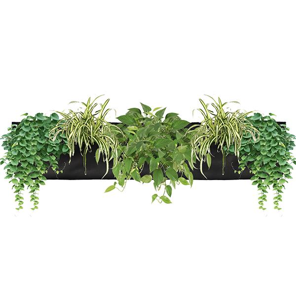 black indoor wall planter Pocket 3 Black Wall Planter