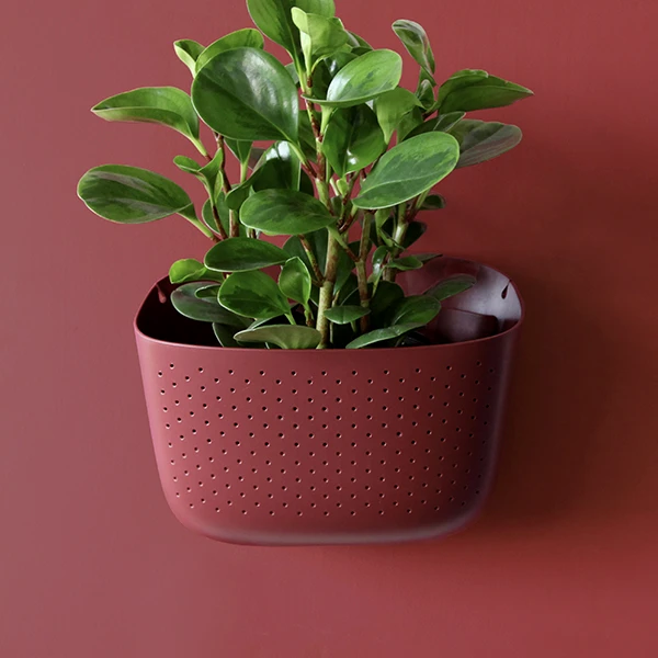Eco Wall Planters - Indoor/Outdoor Vertical Garden