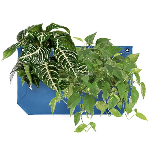 Wally Pro 1 Peacock Wall Planter Pocket - OUTDOOR ONLY