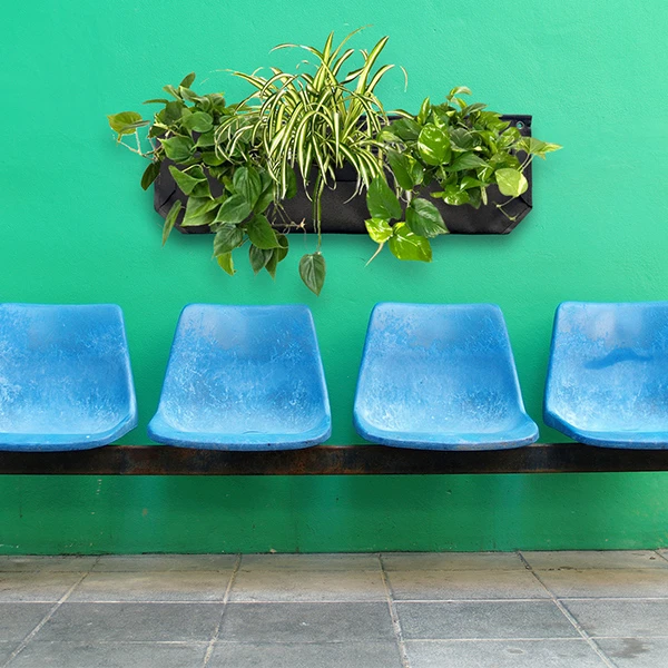 Indoor/Outdoor Vertical Garden - Wally Pro Jr. II Wall Planter - Jr. Black - 2 Pocket
