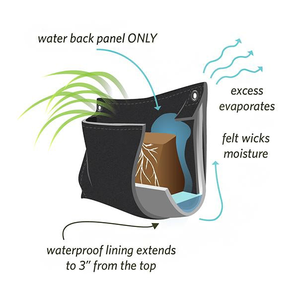 Indoor/Outdoor Vertical Garden - Wally Pro Mini Black Wall Planter Pocket - Single Pocket