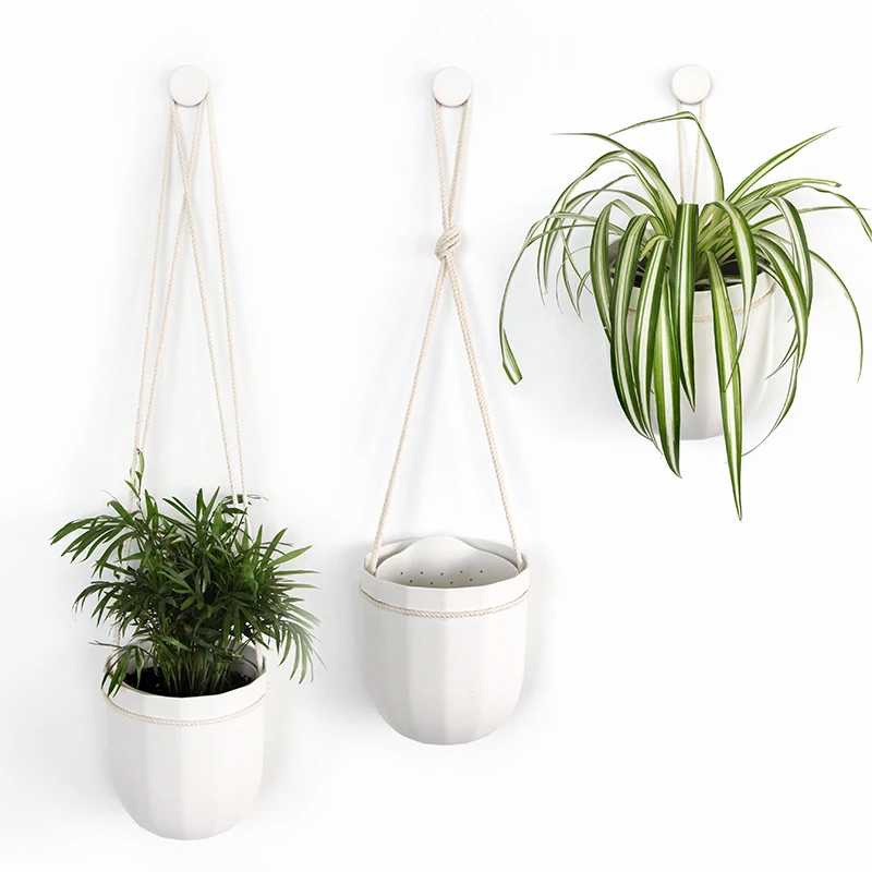 Loop Hanging or Wall Planter