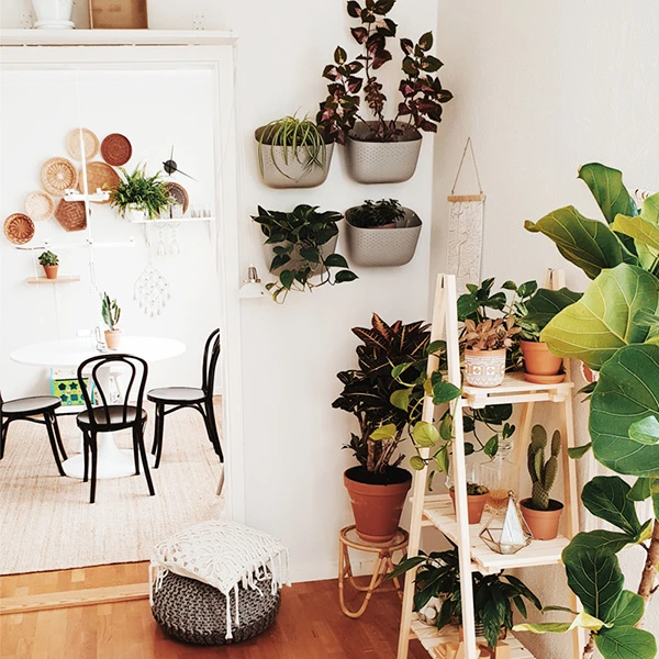 Eco Wall Planters - Indoor/Outdoor Vertical Garden