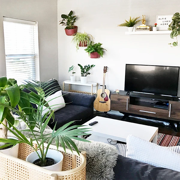 Eco Wall Planters - Indoor/Outdoor Vertical Garden