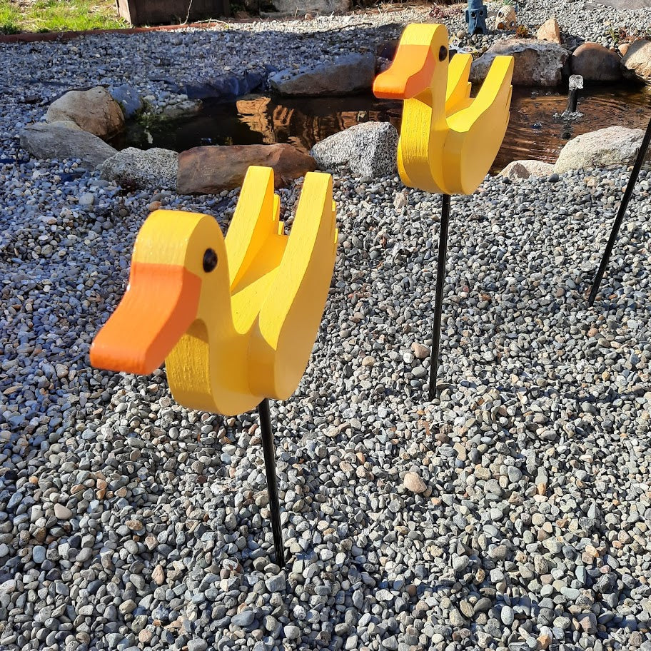 Two yellow baby duck yard birds by the pond.