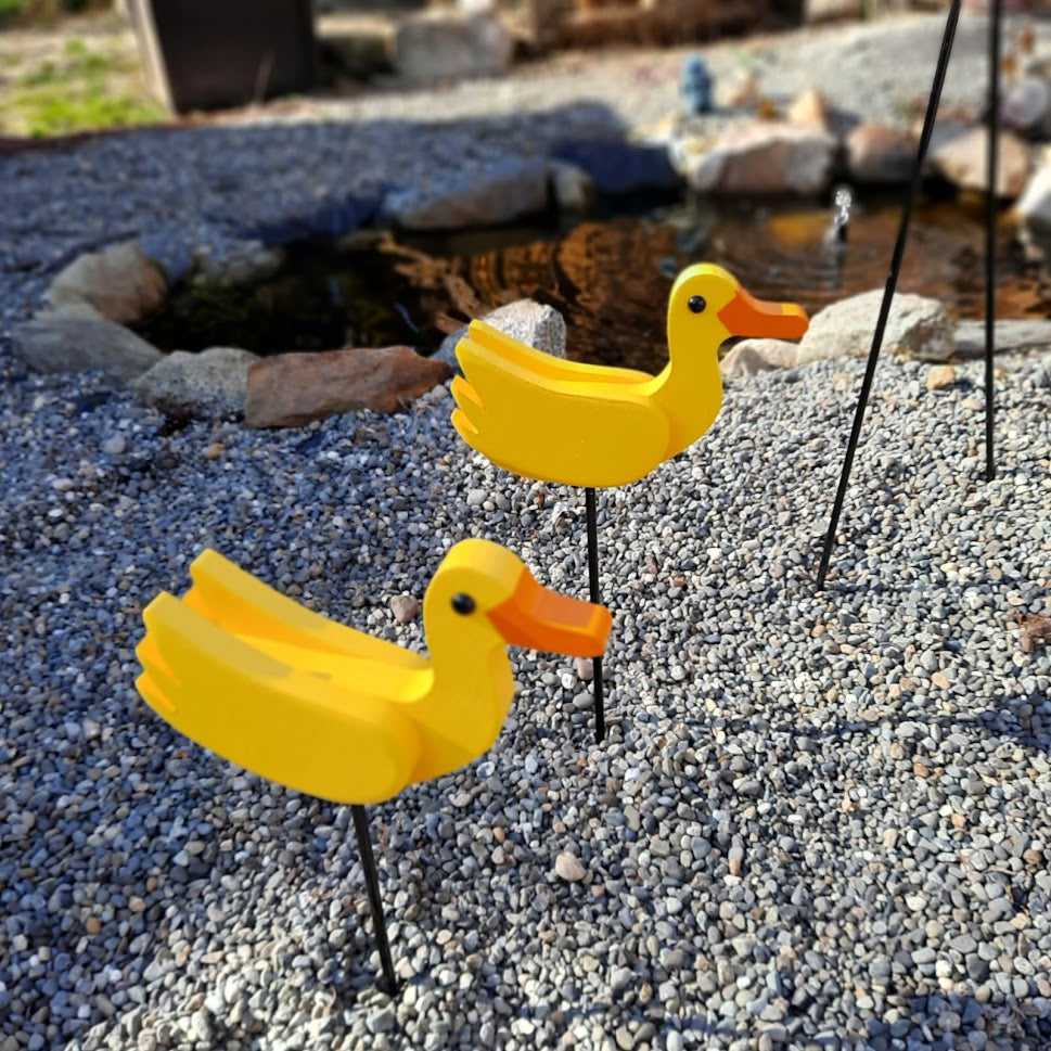 Two yellow baby duks by the pond.