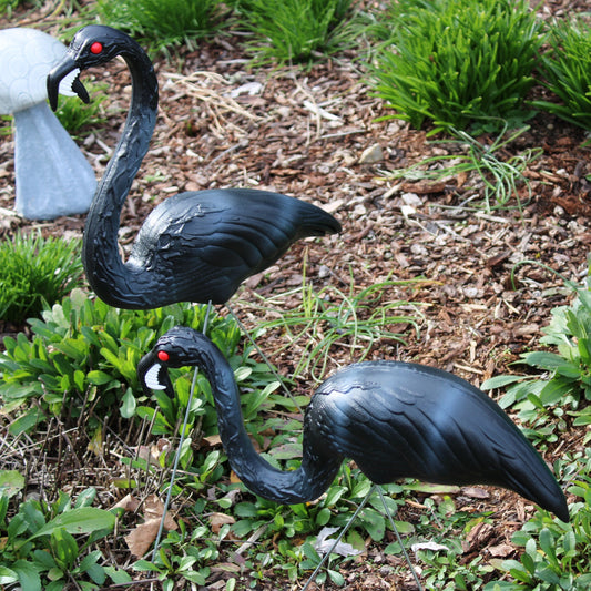 A pair of Union made zombie flamingos with red eyes and white fangs, made in the USA