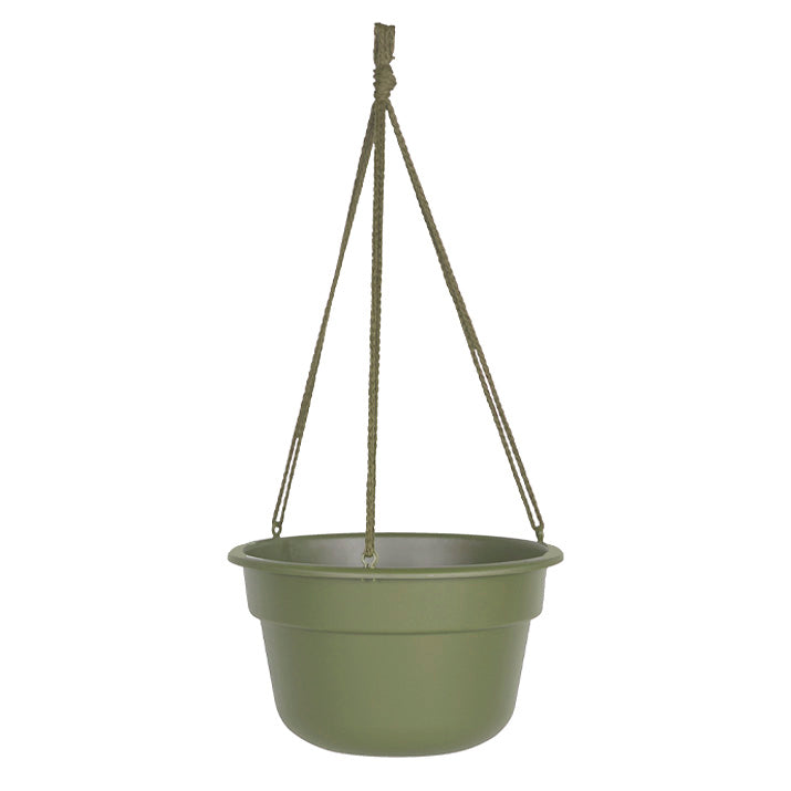 12" Dura Cotta Hanging Basket