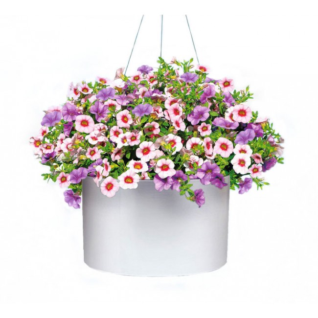 Vista - Hanging Metallic Planter