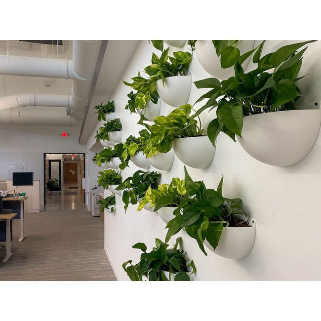 Walton - Wall Sconce - Wall Planter -Vertical Garden