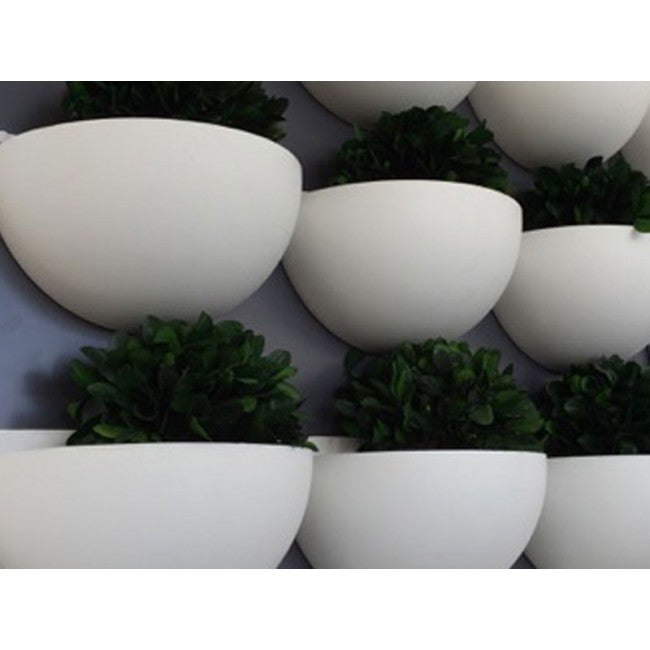 Walton - Wall Sconce - Wall Planter -Vertical Garden