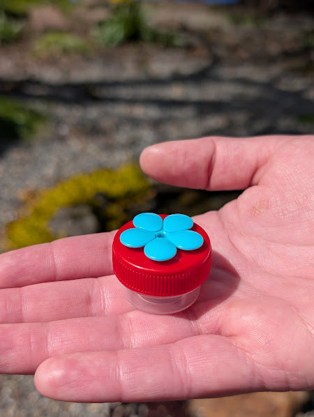 Nectar DOTS Wildflower - Handheld Hummingbird Feeders
