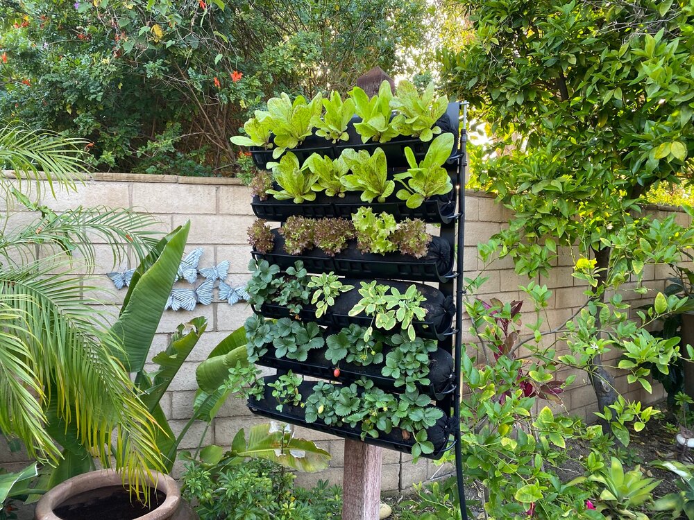 Outdoor vertical garden kit - 6 rows with irrigation