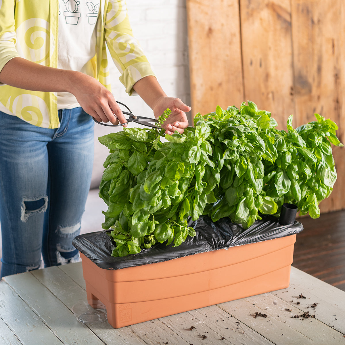Earthbox Container Hydroponic System Earthbox Planter Box | Container Gardening