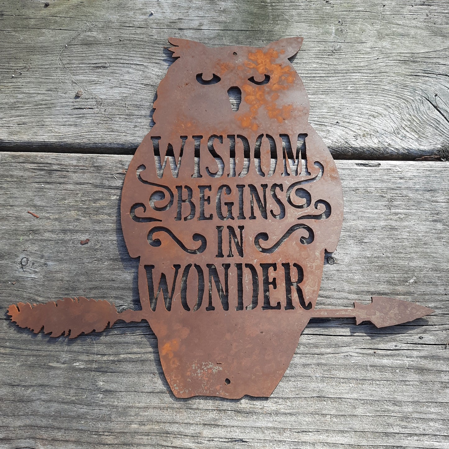 Metal Rustic Owl Sign - Wisdom Begins in Wonder